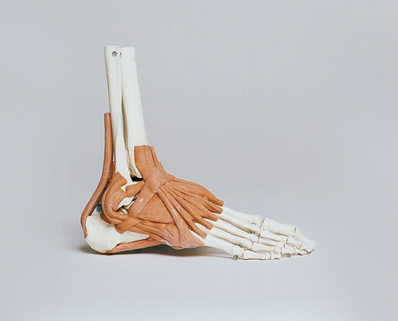 Sprains and Fractures